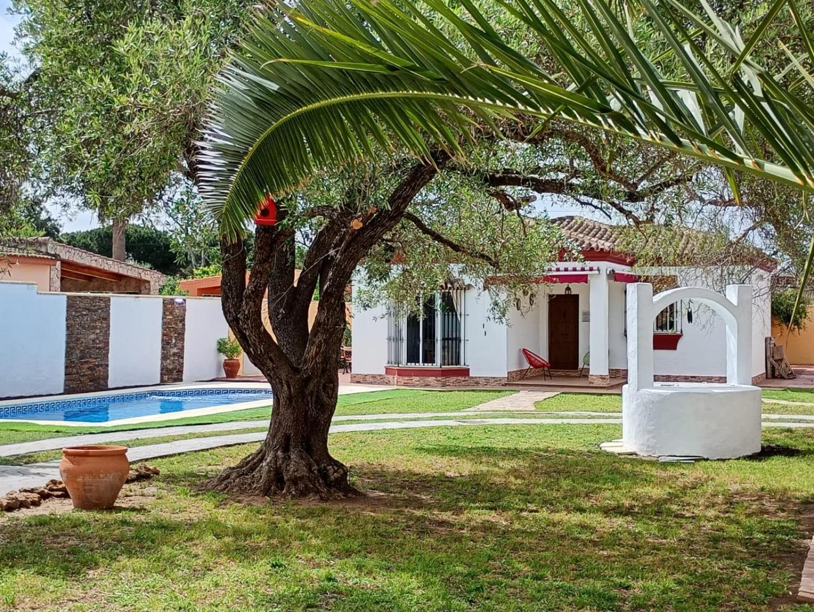 Chalet Pura Vida Чиклана-де-ла-Фронтера Екстер'єр фото
